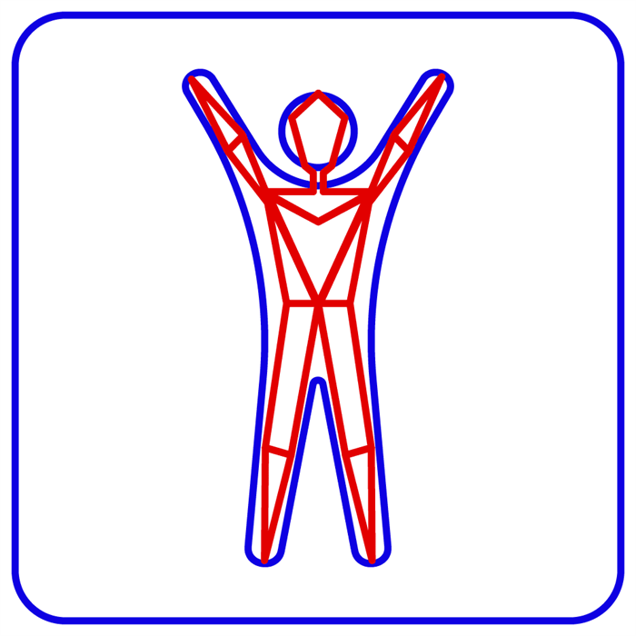 TRASSIR Pose Detector