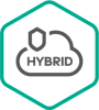 Kaspersky Security для виртуальных и облачных сред, Server